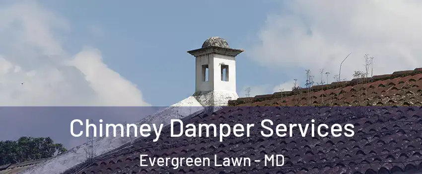 Chimney Damper Services Evergreen Lawn - MD