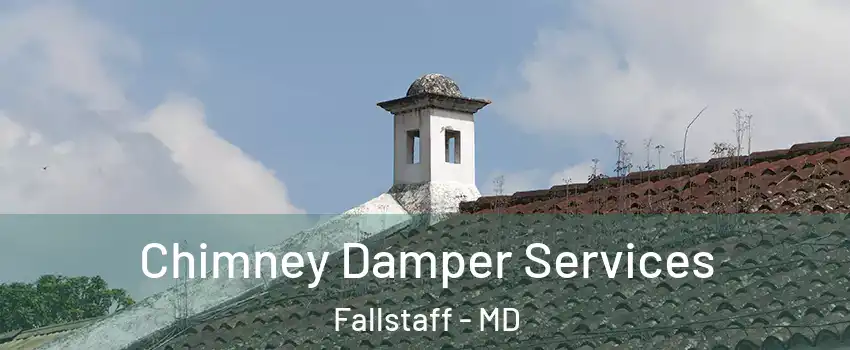 Chimney Damper Services Fallstaff - MD