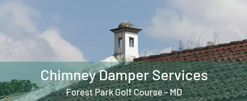 Chimney Damper Services Forest Park Golf Course - MD