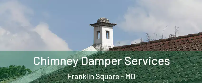 Chimney Damper Services Franklin Square - MD