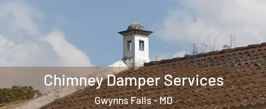 Chimney Damper Services Gwynns Falls - MD