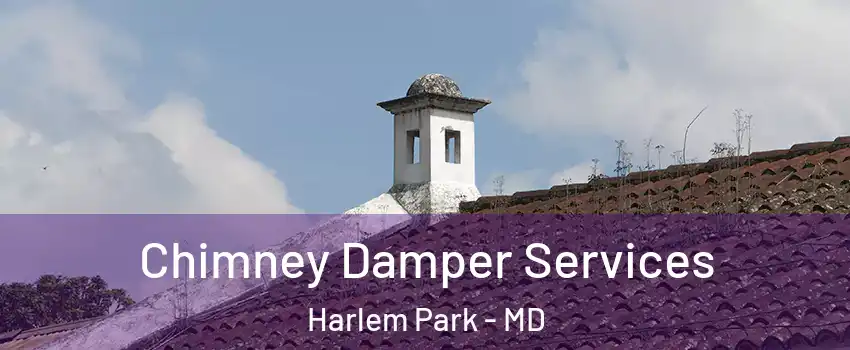 Chimney Damper Services Harlem Park - MD
