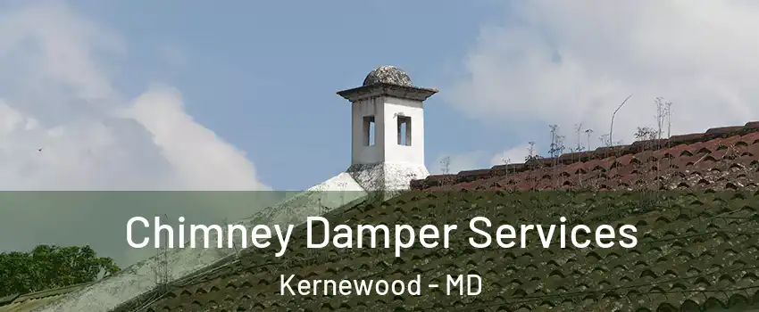 Chimney Damper Services Kernewood - MD