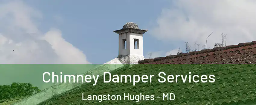 Chimney Damper Services Langston Hughes - MD