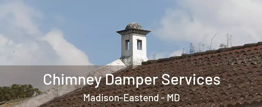 Chimney Damper Services Madison-Eastend - MD
