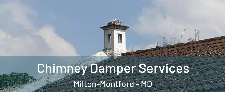 Chimney Damper Services Milton-Montford - MD