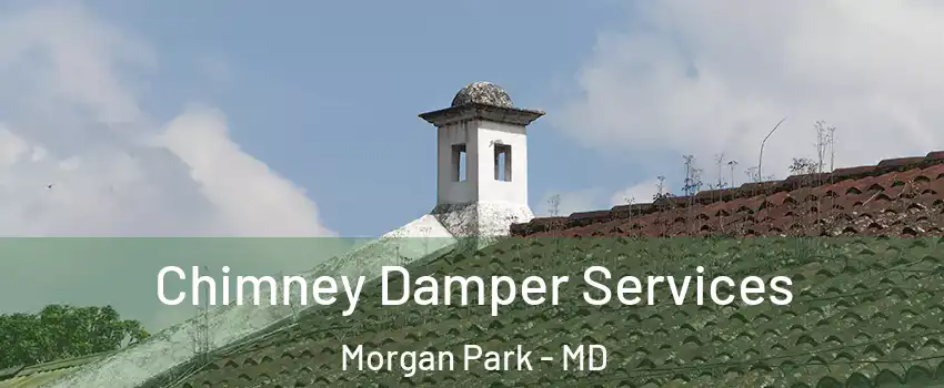 Chimney Damper Services Morgan Park - MD