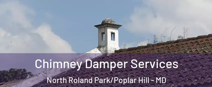 Chimney Damper Services North Roland Park/Poplar Hill - MD