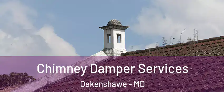 Chimney Damper Services Oakenshawe - MD