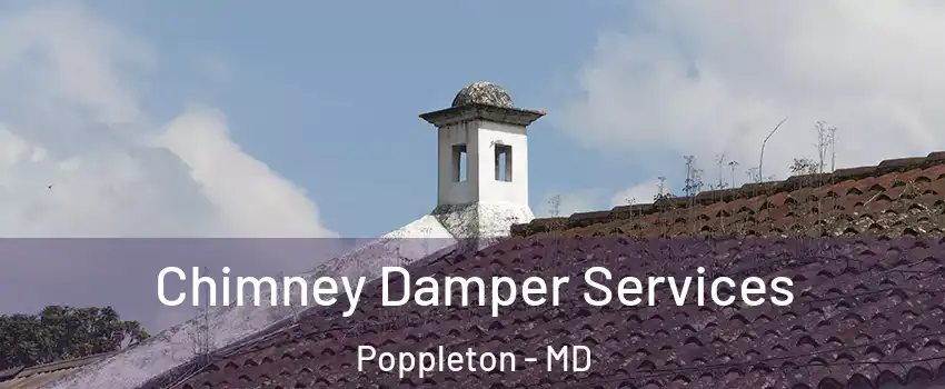 Chimney Damper Services Poppleton - MD