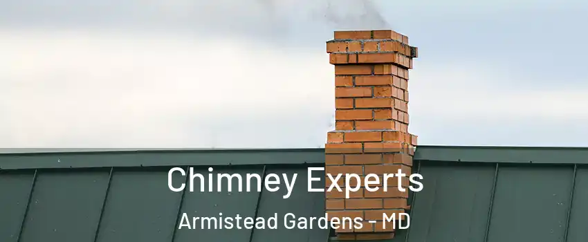 Chimney Experts Armistead Gardens - MD