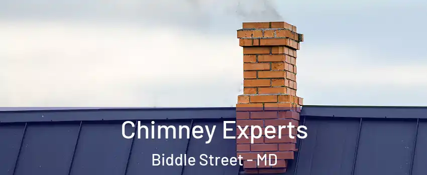 Chimney Experts Biddle Street - MD
