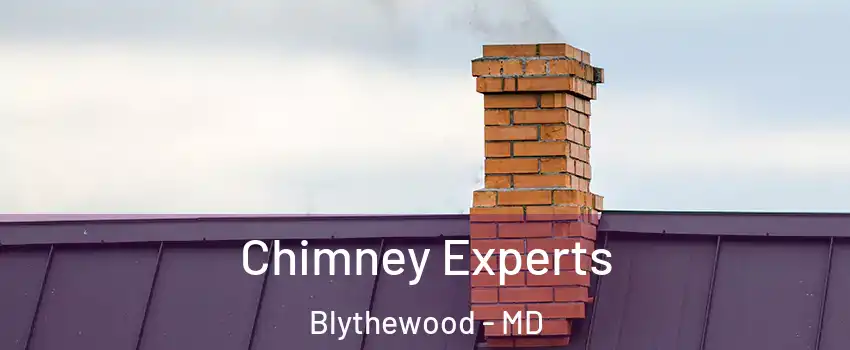 Chimney Experts Blythewood - MD
