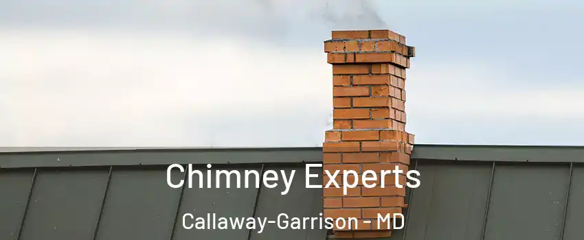 Chimney Experts Callaway-Garrison - MD