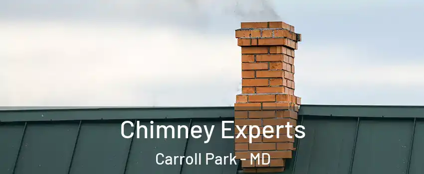 Chimney Experts Carroll Park - MD