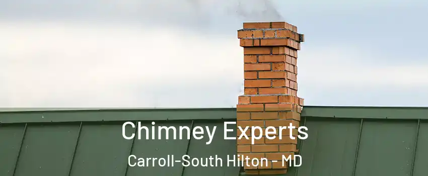 Chimney Experts Carroll-South Hilton - MD