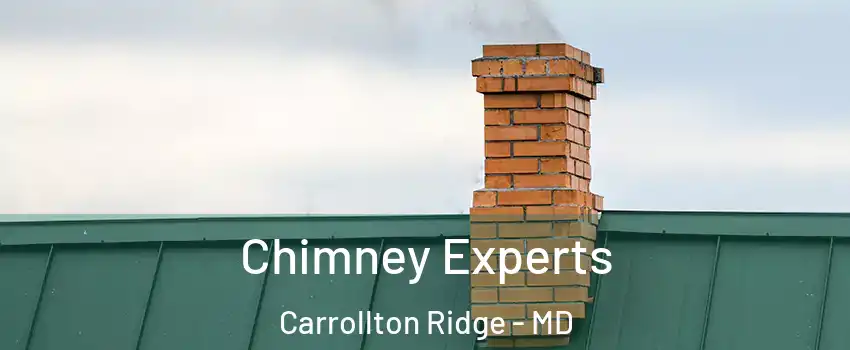 Chimney Experts Carrollton Ridge - MD