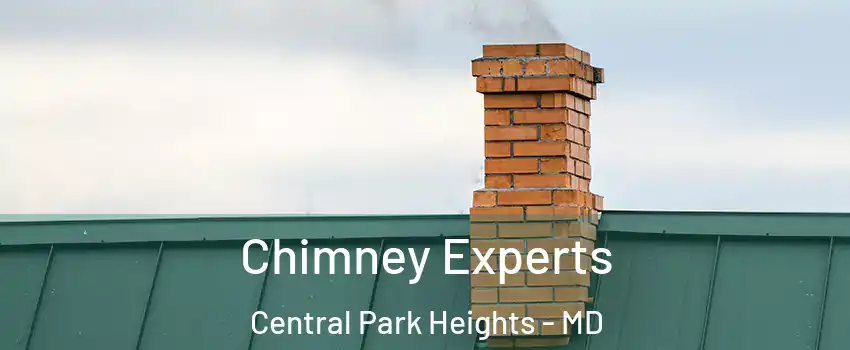 Chimney Experts Central Park Heights - MD