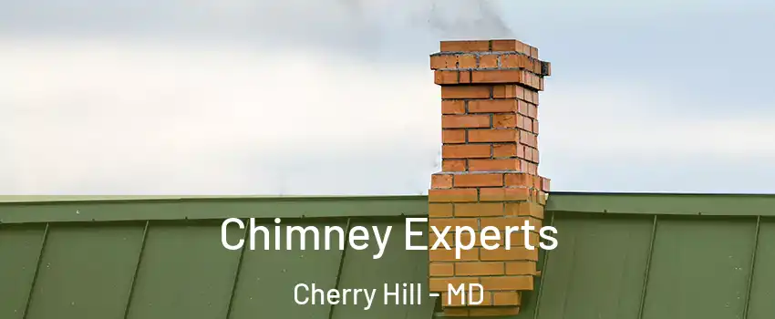 Chimney Experts Cherry Hill - MD