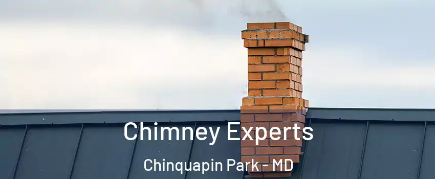 Chimney Experts Chinquapin Park - MD