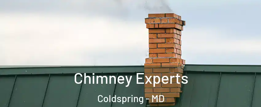 Chimney Experts Coldspring - MD