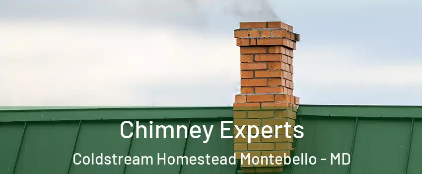 Chimney Experts Coldstream Homestead Montebello - MD