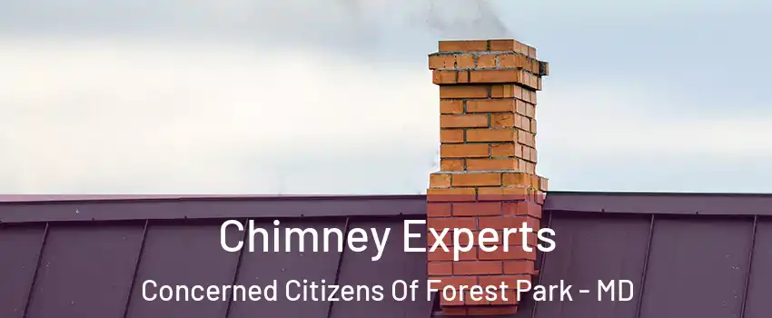 Chimney Experts Concerned Citizens Of Forest Park - MD
