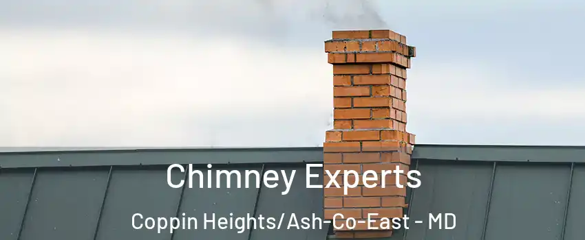 Chimney Experts Coppin Heights/Ash-Co-East - MD