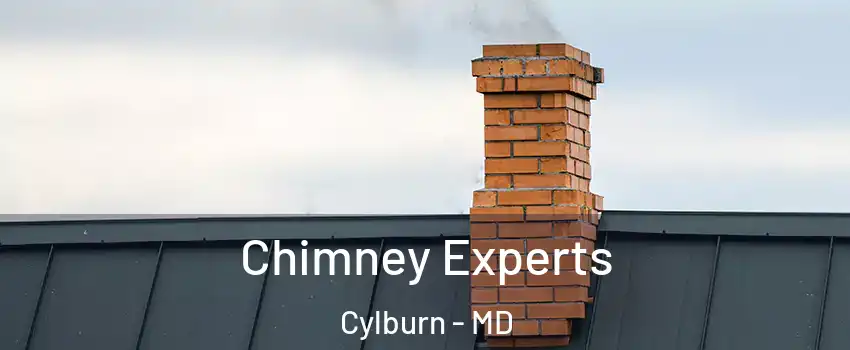 Chimney Experts Cylburn - MD
