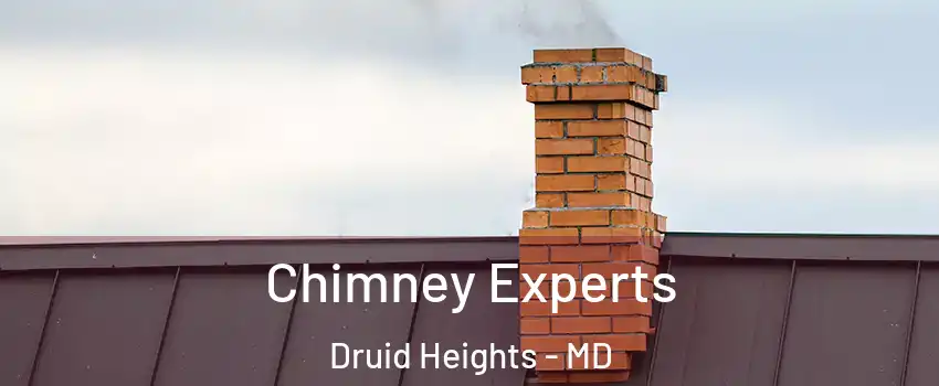 Chimney Experts Druid Heights - MD