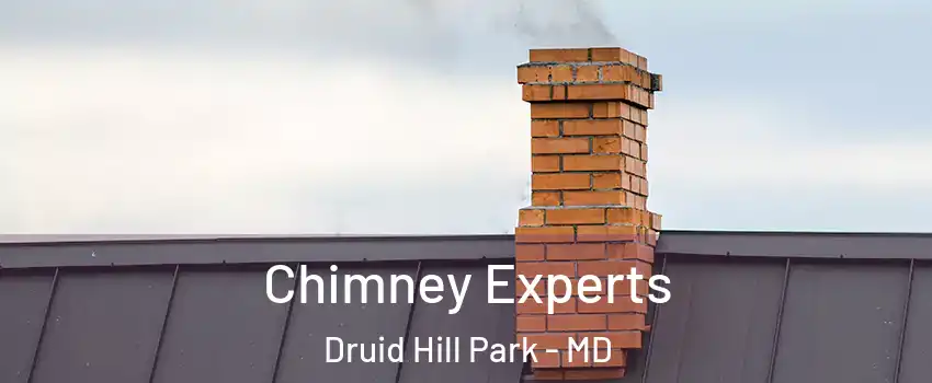 Chimney Experts Druid Hill Park - MD