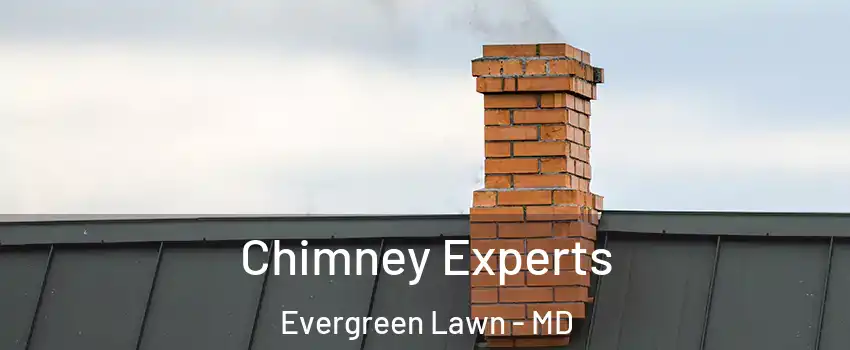 Chimney Experts Evergreen Lawn - MD