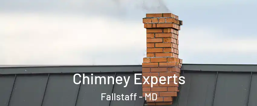 Chimney Experts Fallstaff - MD
