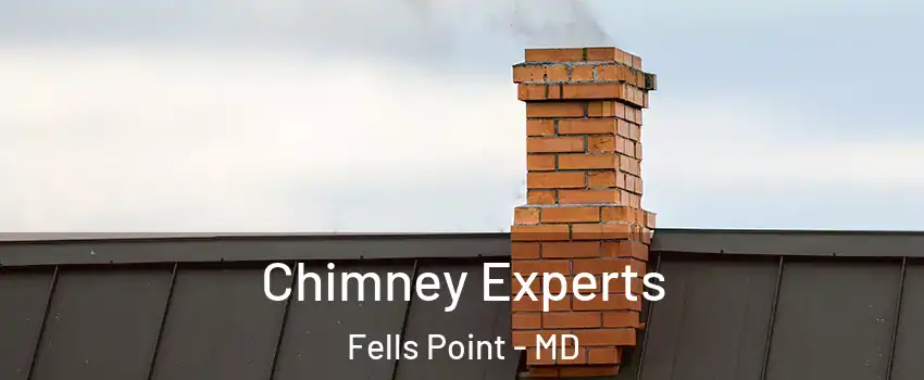 Chimney Experts Fells Point - MD