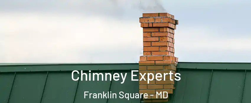 Chimney Experts Franklin Square - MD
