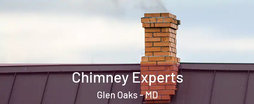 Chimney Experts Glen Oaks - MD