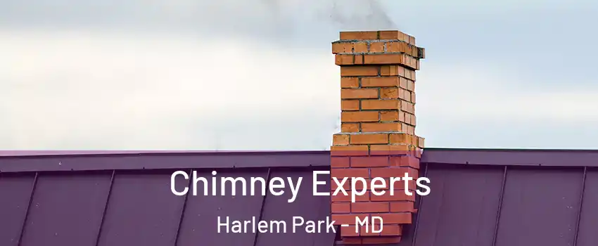 Chimney Experts Harlem Park - MD