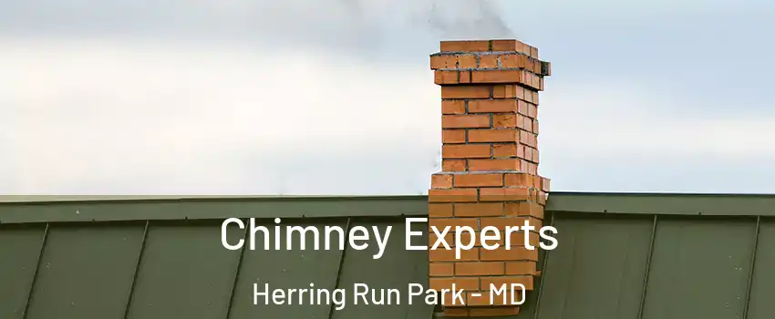 Chimney Experts Herring Run Park - MD