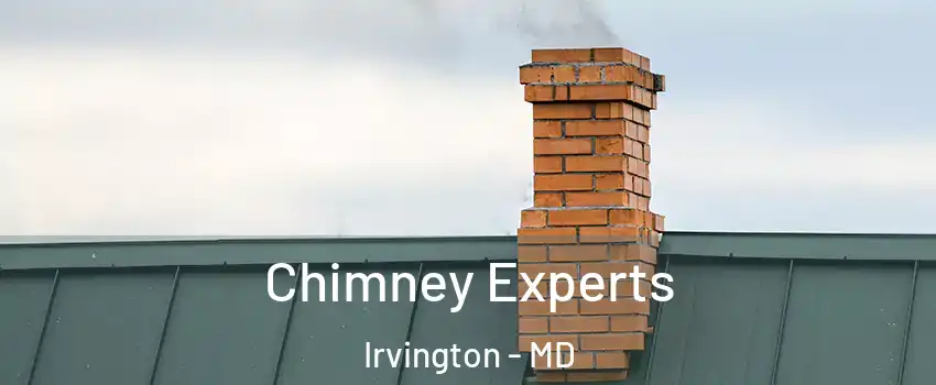 Chimney Experts Irvington - MD