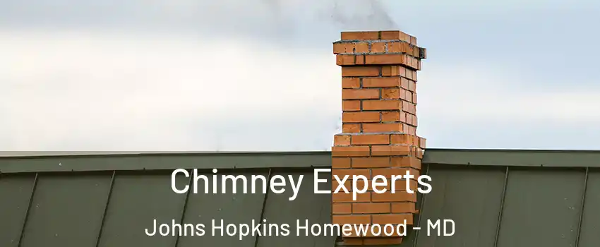 Chimney Experts Johns Hopkins Homewood - MD