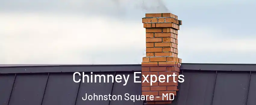 Chimney Experts Johnston Square - MD