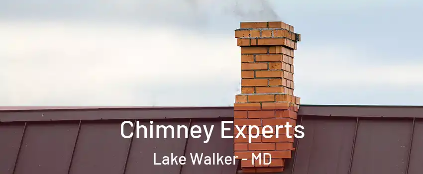 Chimney Experts Lake Walker - MD