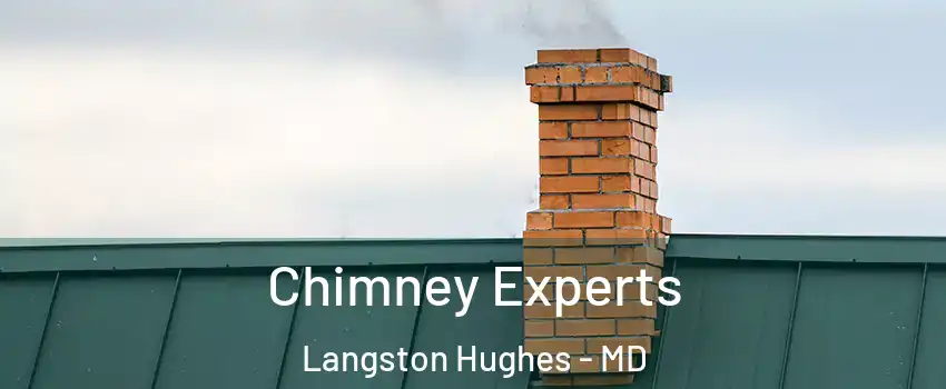 Chimney Experts Langston Hughes - MD