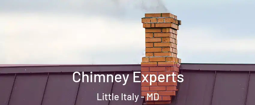Chimney Experts Little Italy - MD