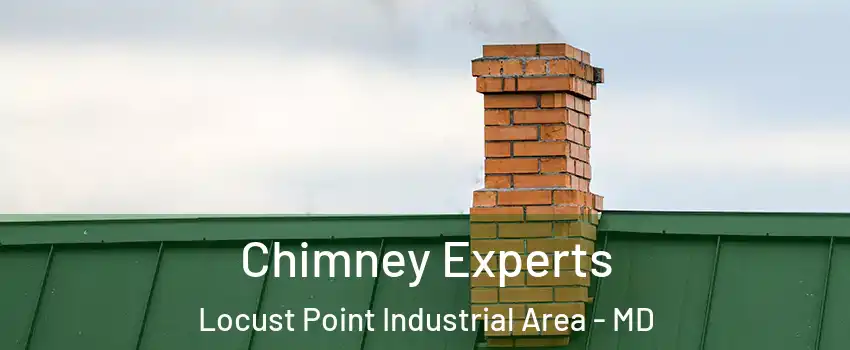 Chimney Experts Locust Point Industrial Area - MD