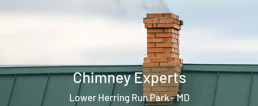 Chimney Experts Lower Herring Run Park - MD