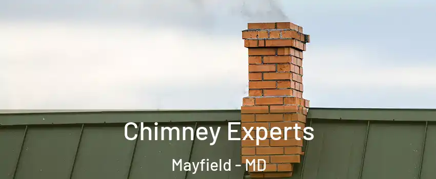 Chimney Experts Mayfield - MD