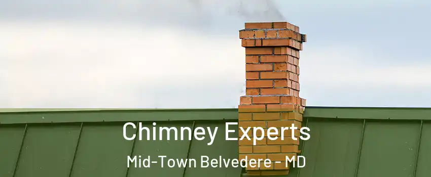 Chimney Experts Mid-Town Belvedere - MD