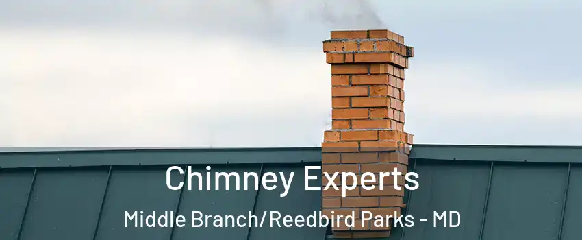 Chimney Experts Middle Branch/Reedbird Parks - MD