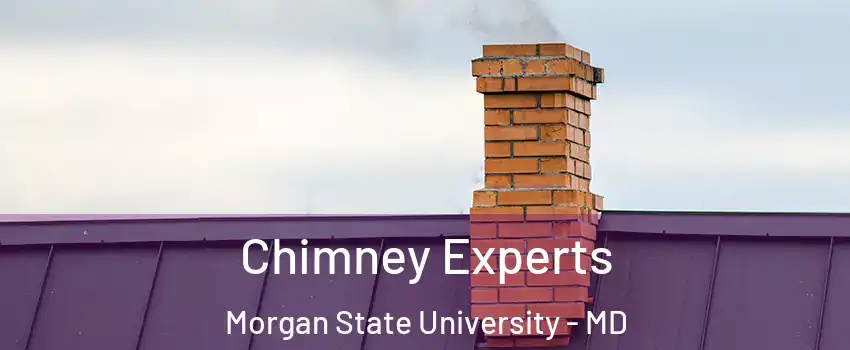 Chimney Experts Morgan State University - MD